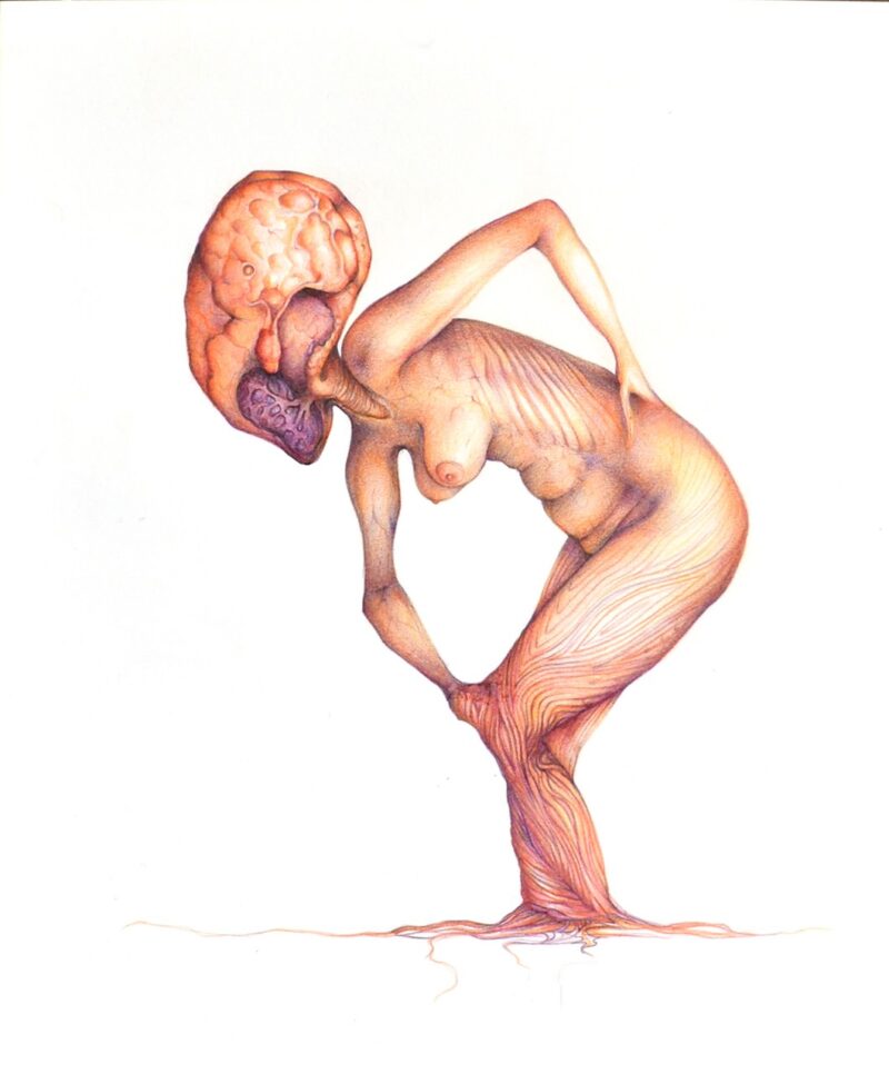 Transmuting, by Mayra Ona