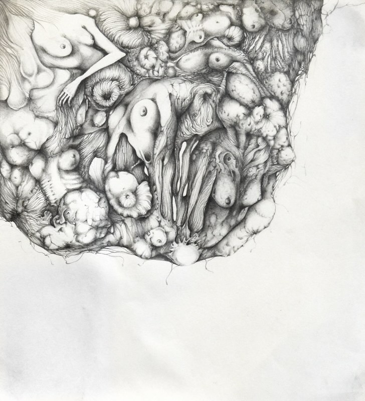 Accumulation, by Mayra Ona